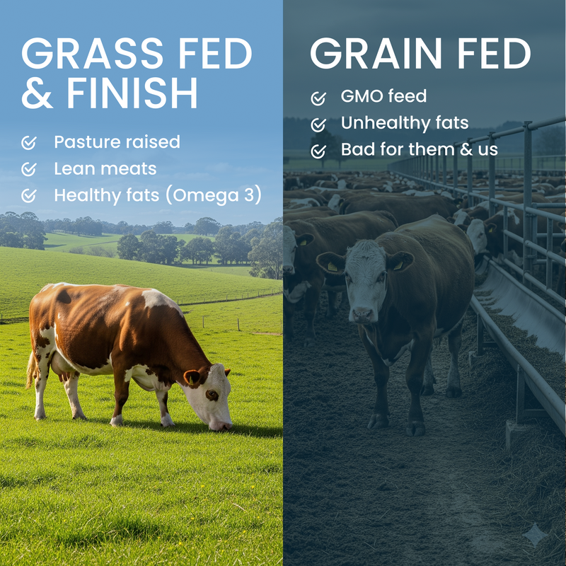 Rancher's Gut-Healthy Meats