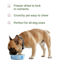 Bison Nutritional Topper