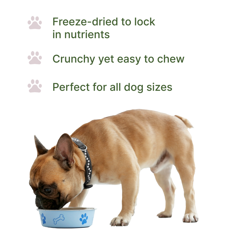 Bison Nutritional Topper