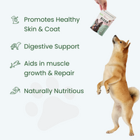 Bison Nutritional Topper